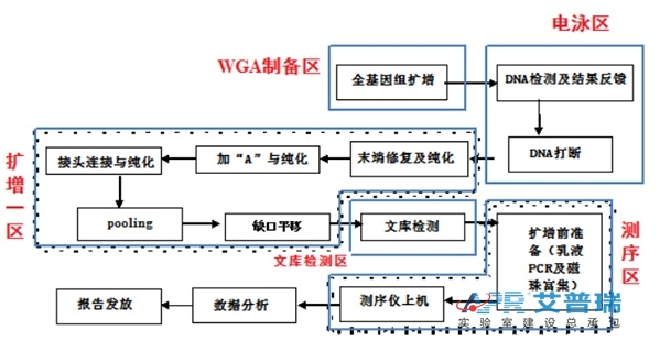 胚胎植入前遗传学诊断工作流程