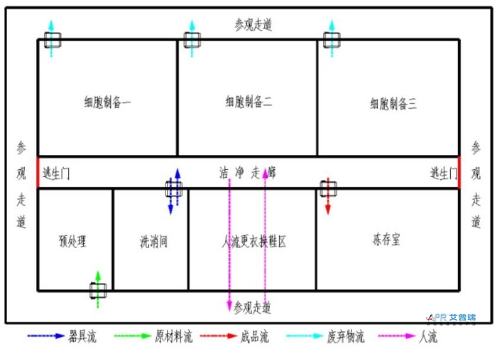 干细胞实验室布局怎么设计？